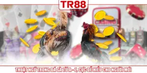 Thuật ngữ trong đá gà