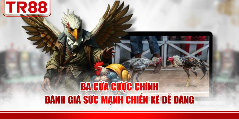 Mỗi trường đấu mang lại một phong cách riêng biệt